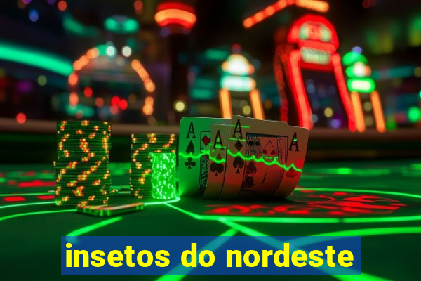 insetos do nordeste